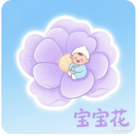 宝宝花